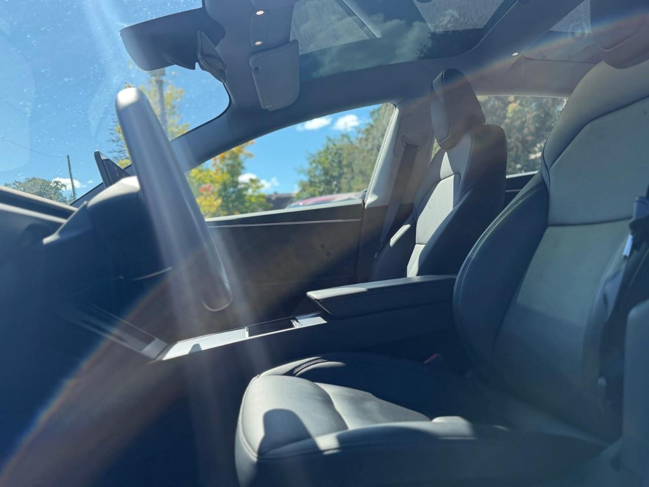 2025 Tesla Model 3 Premium AWD Photo