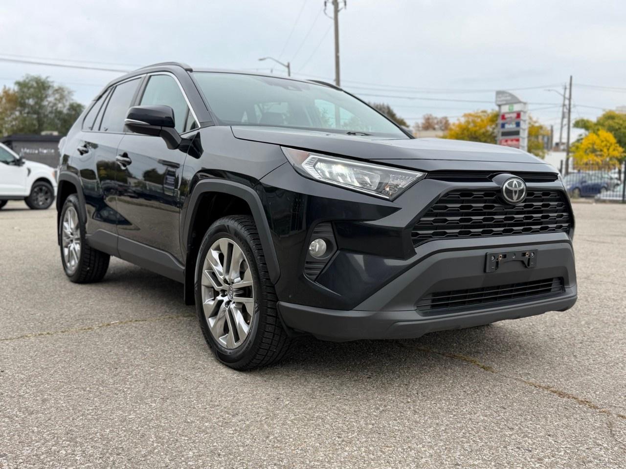 2019 Toyota RAV4 AWD XLE Photo