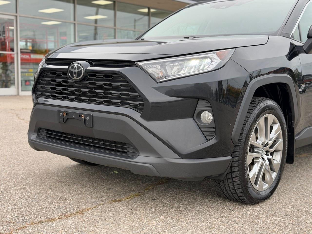 2019 Toyota RAV4 AWD XLE Photo