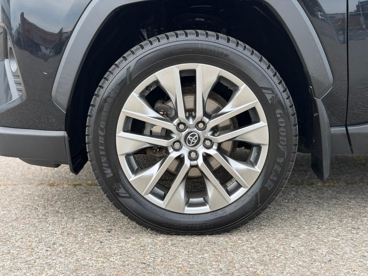 2019 Toyota RAV4 AWD XLE Photo
