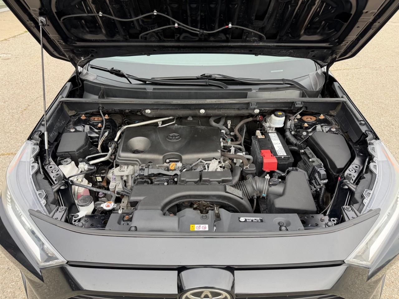 2019 Toyota RAV4 AWD XLE Photo