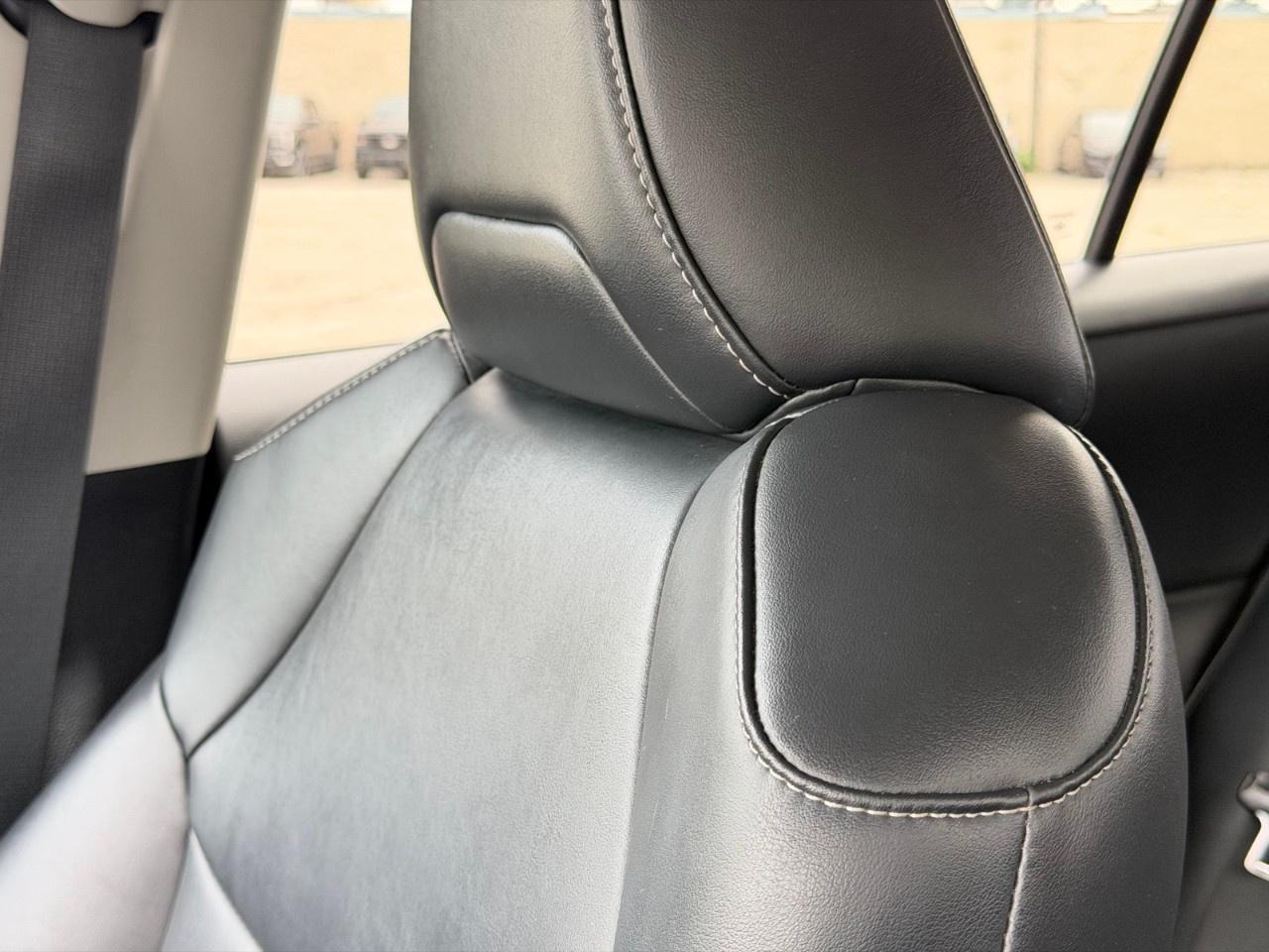 2019 Toyota RAV4 AWD XLE Photo