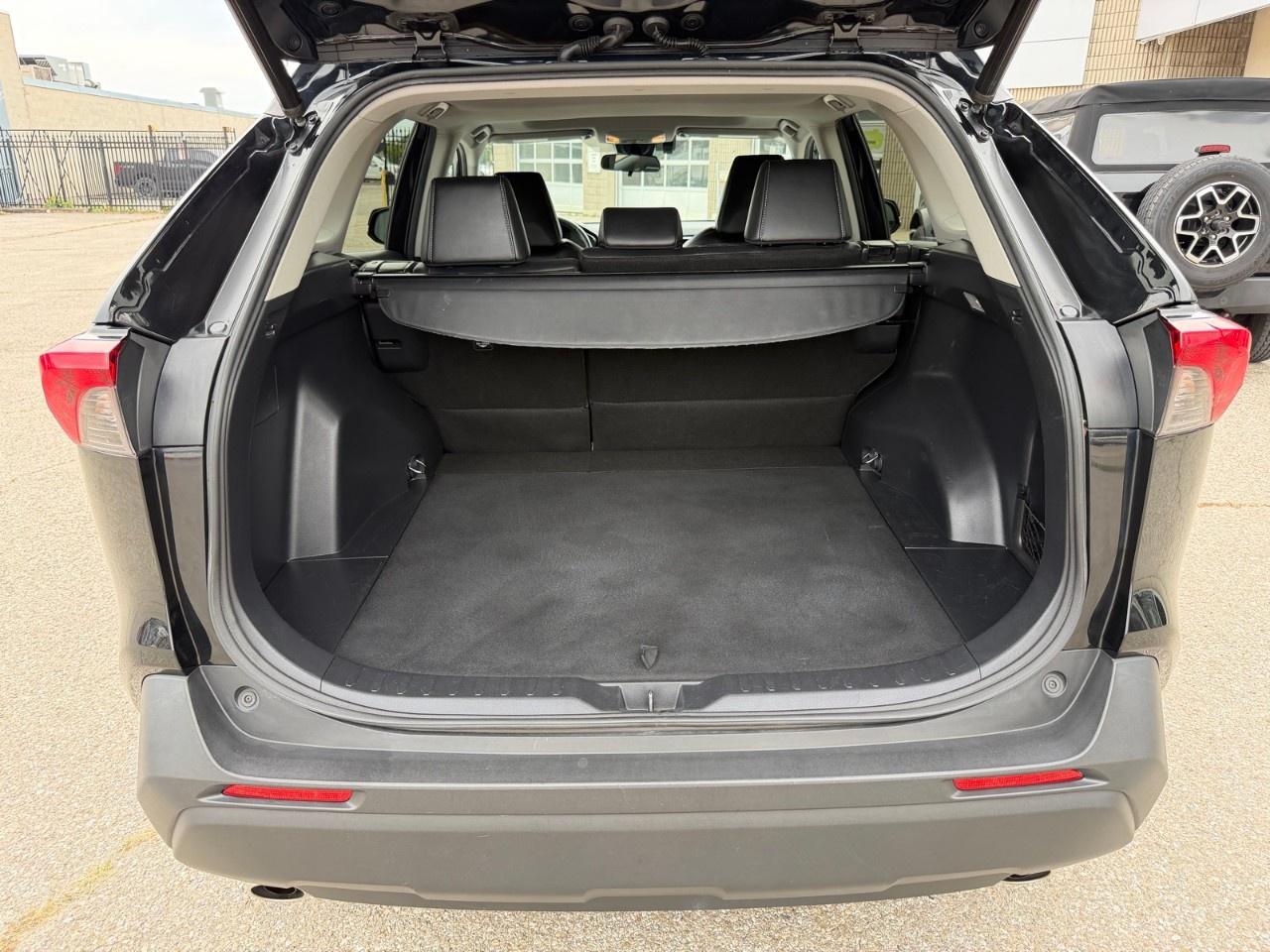 2019 Toyota RAV4 AWD XLE Photo