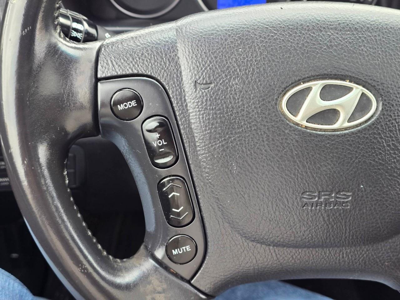 2009 Hyundai Santa Fe AWD 4dr 3.3L Auto LIMITED Photo