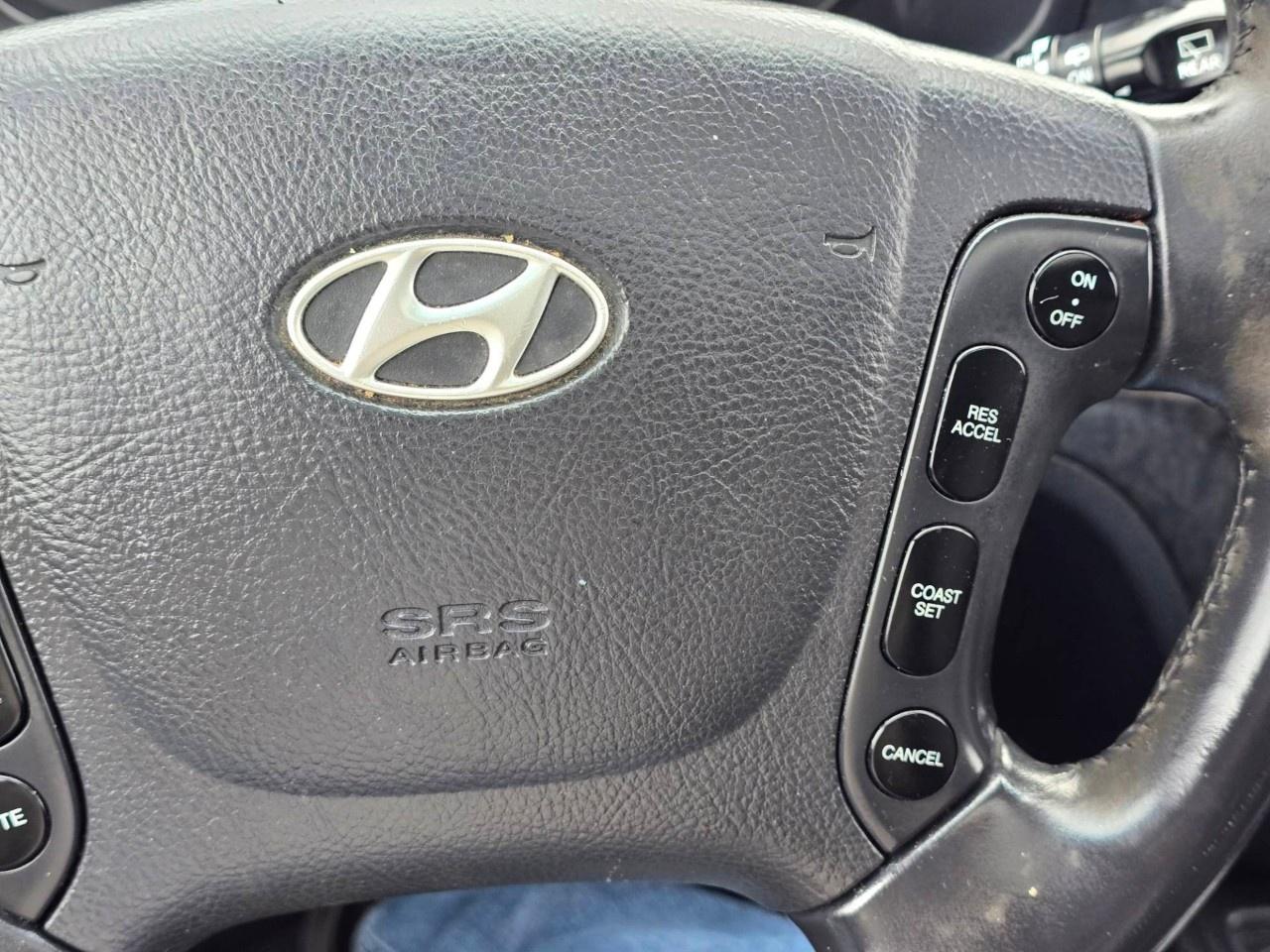2009 Hyundai Santa Fe AWD 4dr 3.3L Auto LIMITED Photo