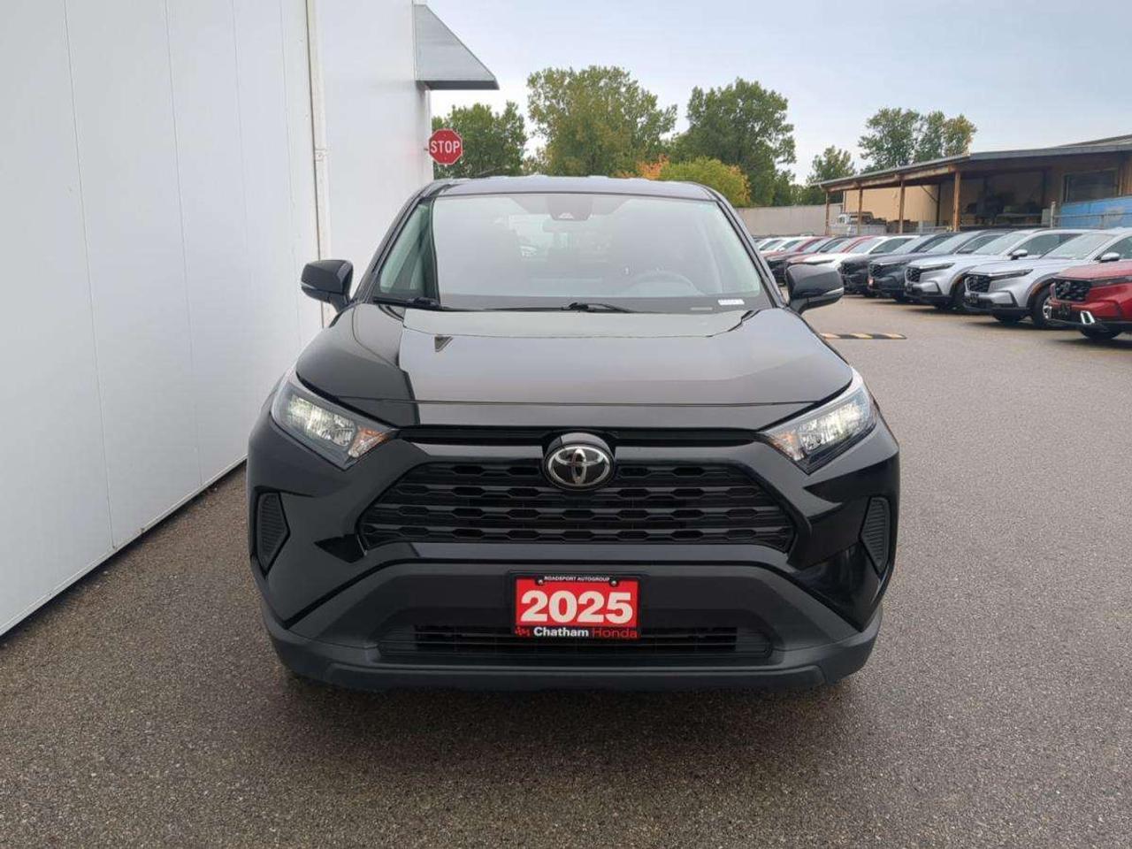 2025 Toyota RAV4 LE Photo
