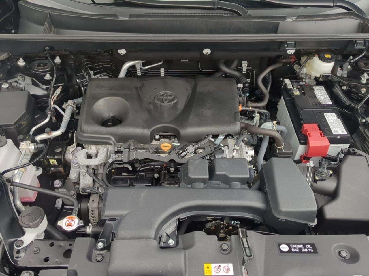 2025 Toyota RAV4 LE Photo