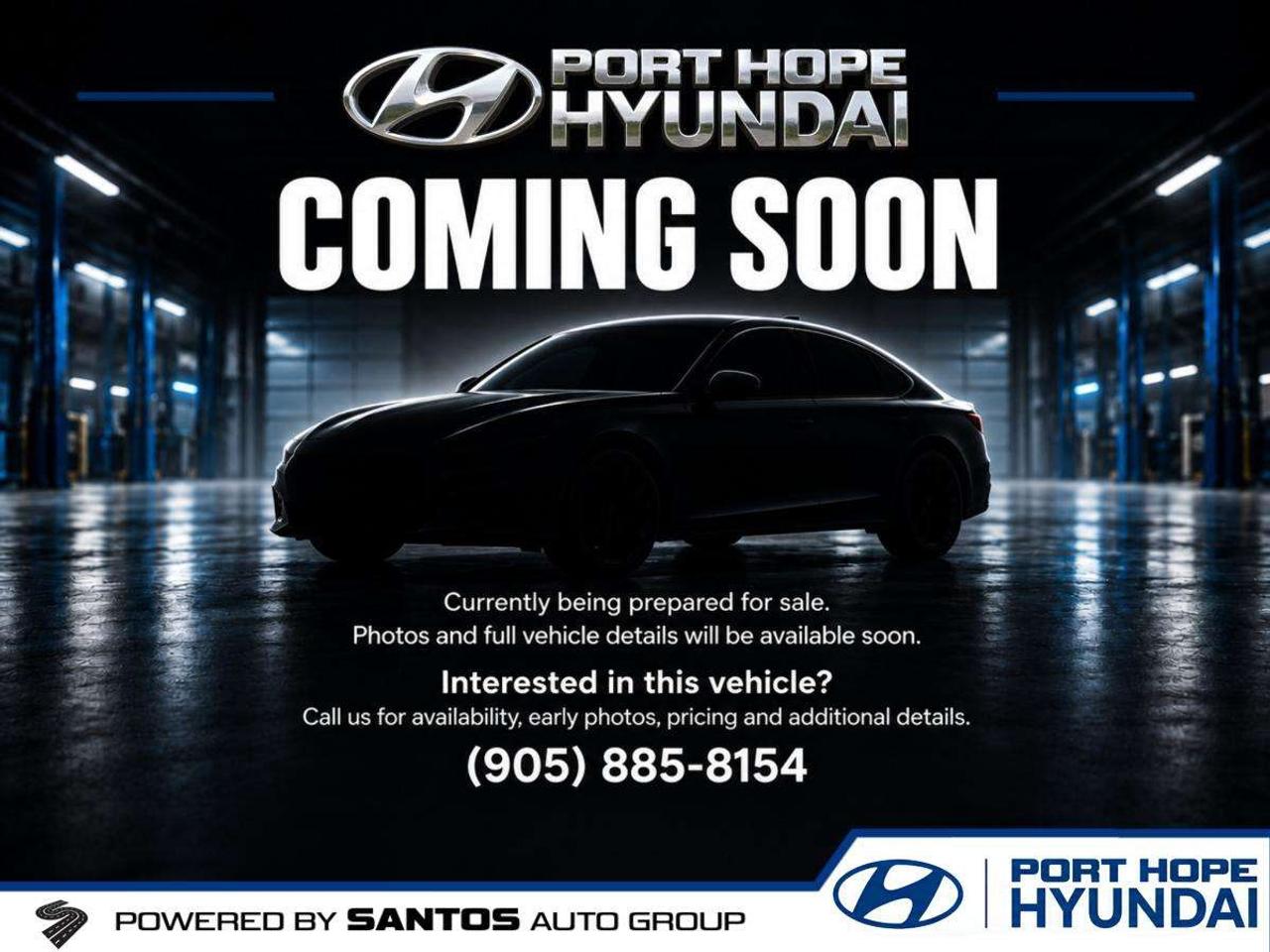 2020 Hyundai PALISADE LUXURY AWD   7 PASSENGER   LEATHER   SUNROOF Photo0