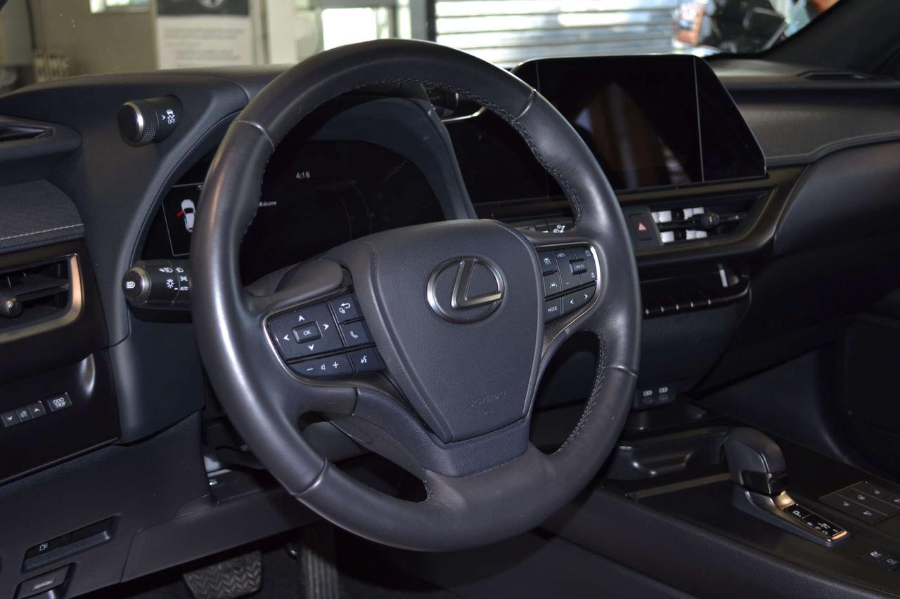 2025 Lexus UX 300H  Photo