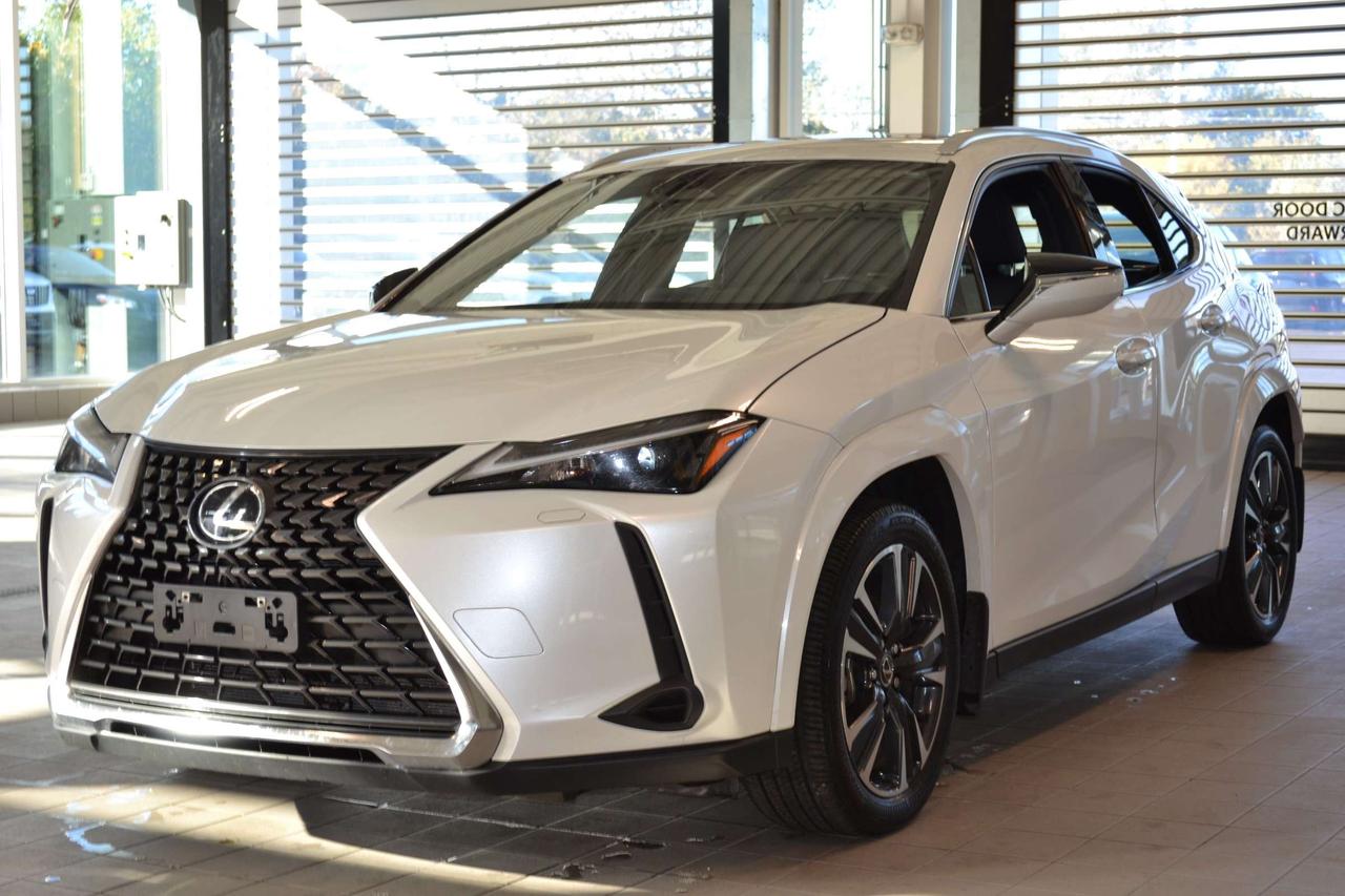2025 Lexus UX 300H  Photo0