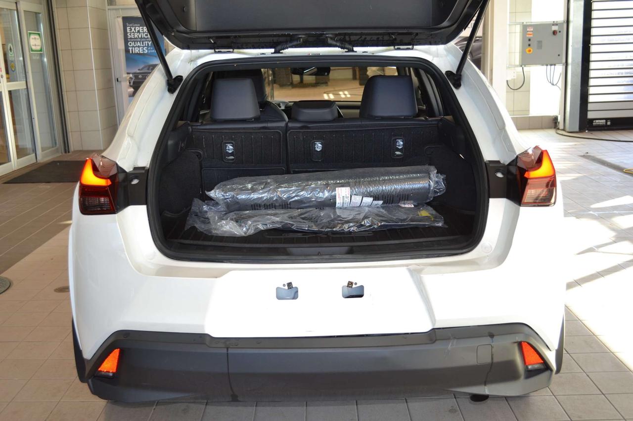 2025 Lexus UX 300H  Photo