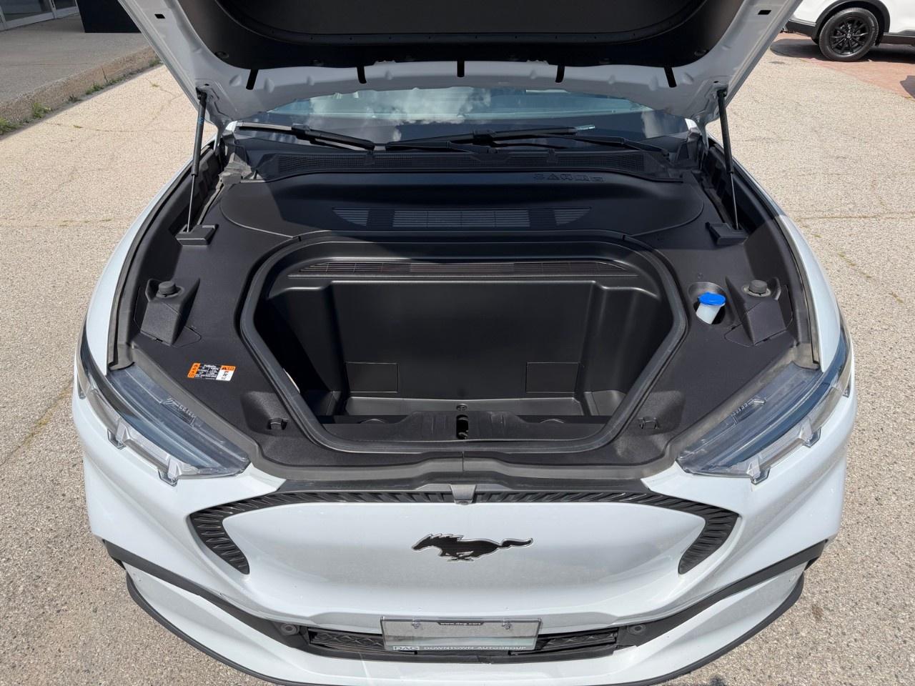 2022 Ford Mustang Mach-E Select AWD Photo