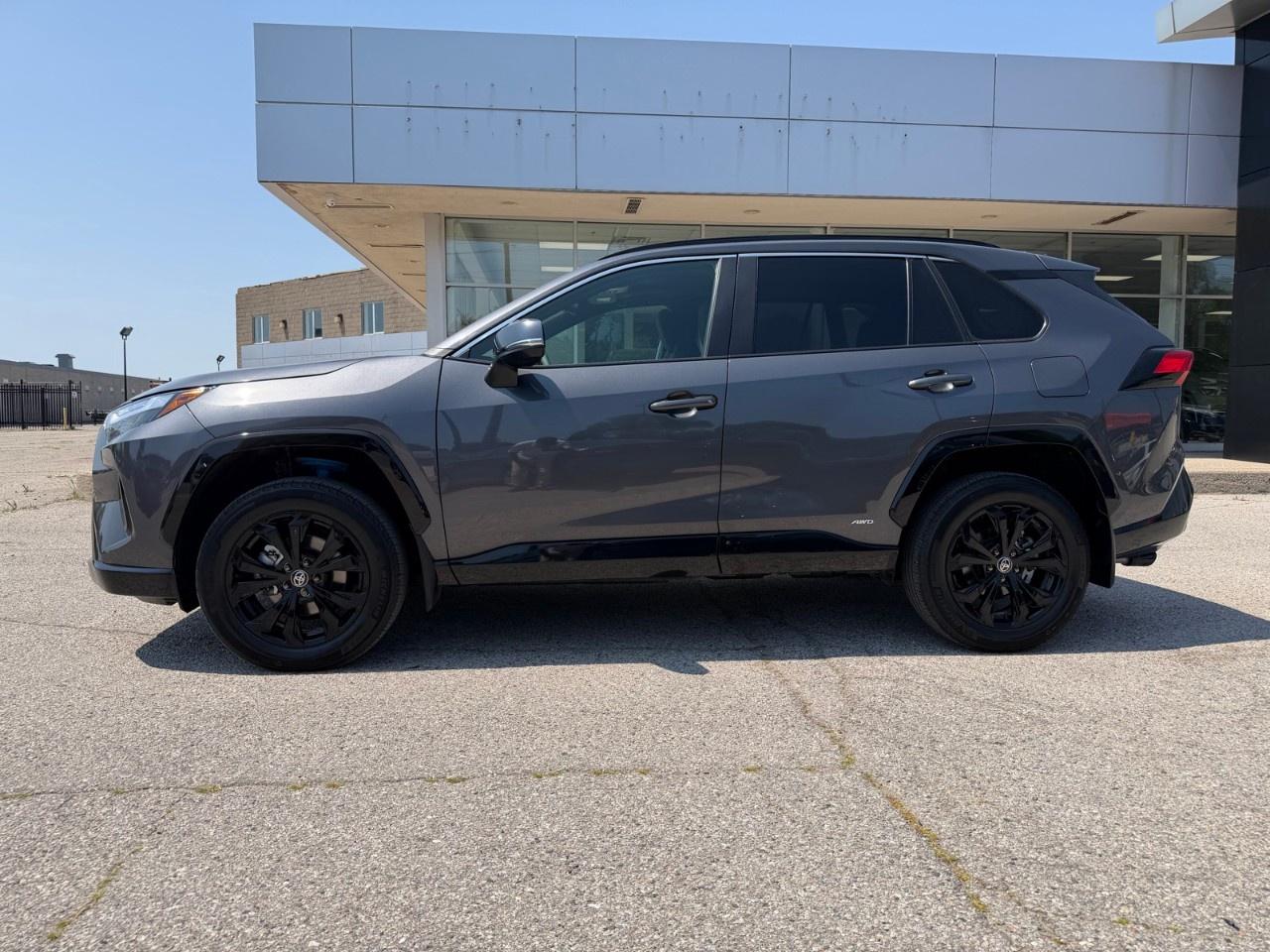 2025 Toyota RAV4 Hybrid SE AWD Photo