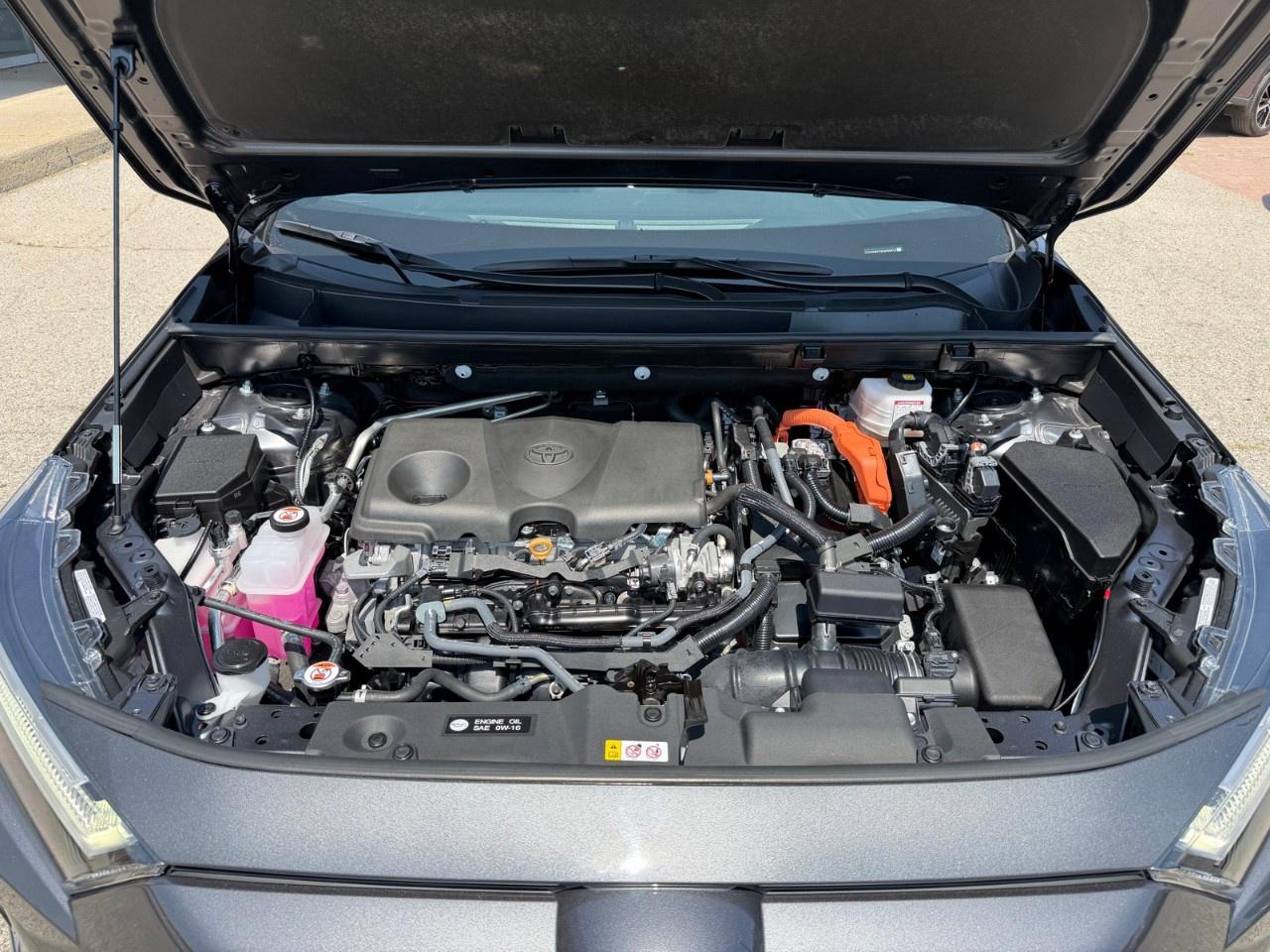 2025 Toyota RAV4 Hybrid SE AWD Photo