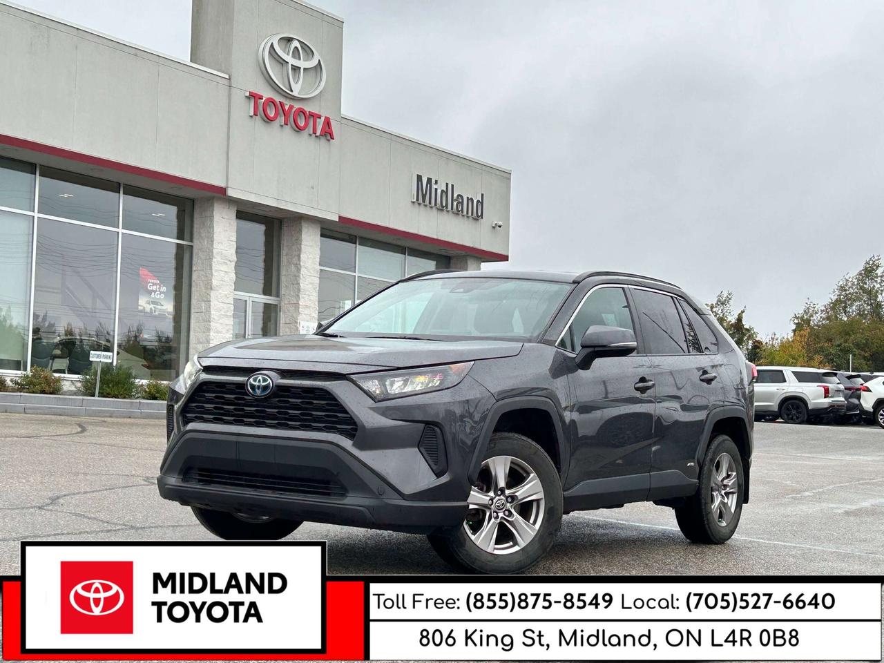 2023 Toyota RAV4 LE Photo