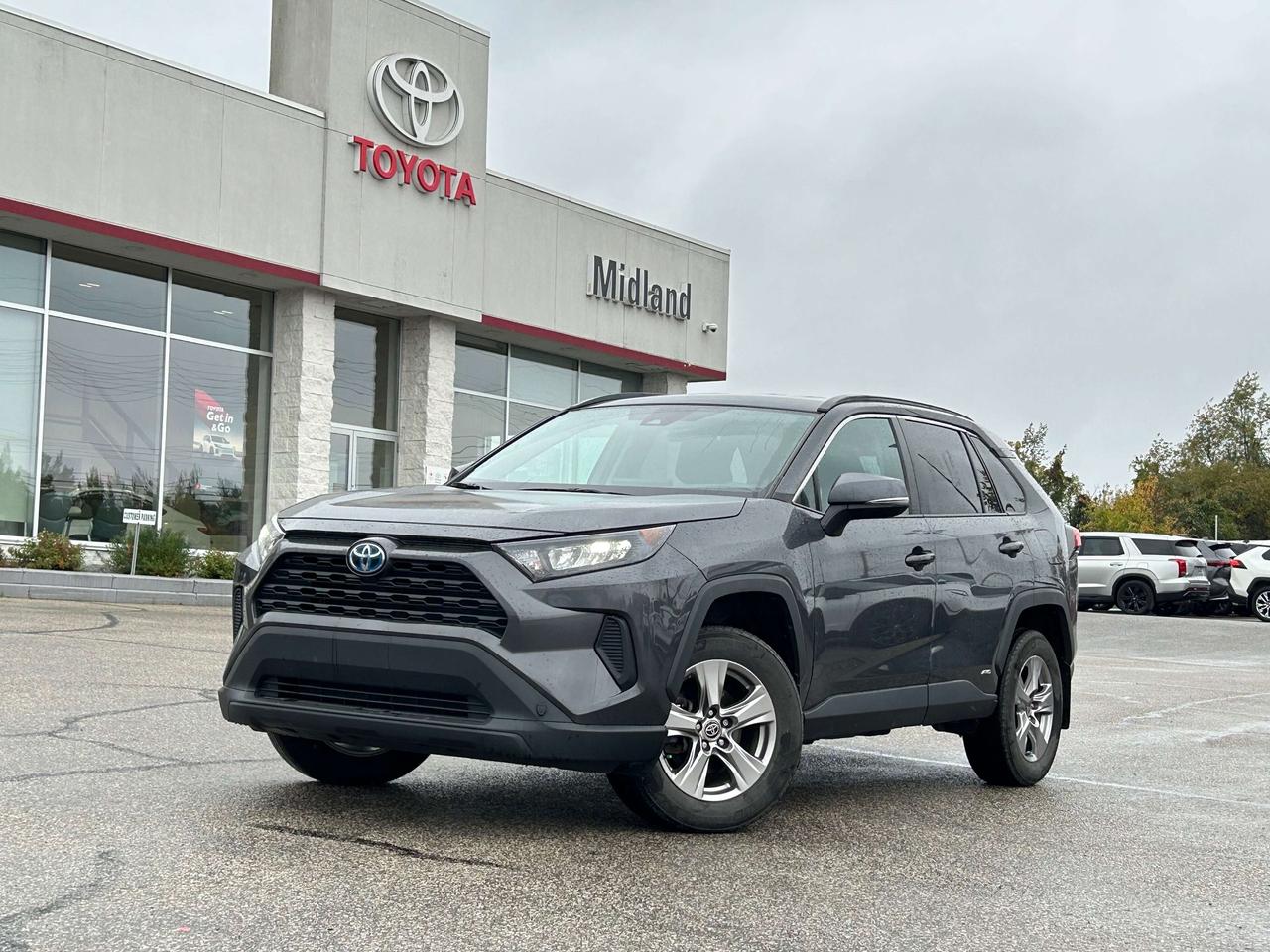 2023 Toyota RAV4 LE Photo