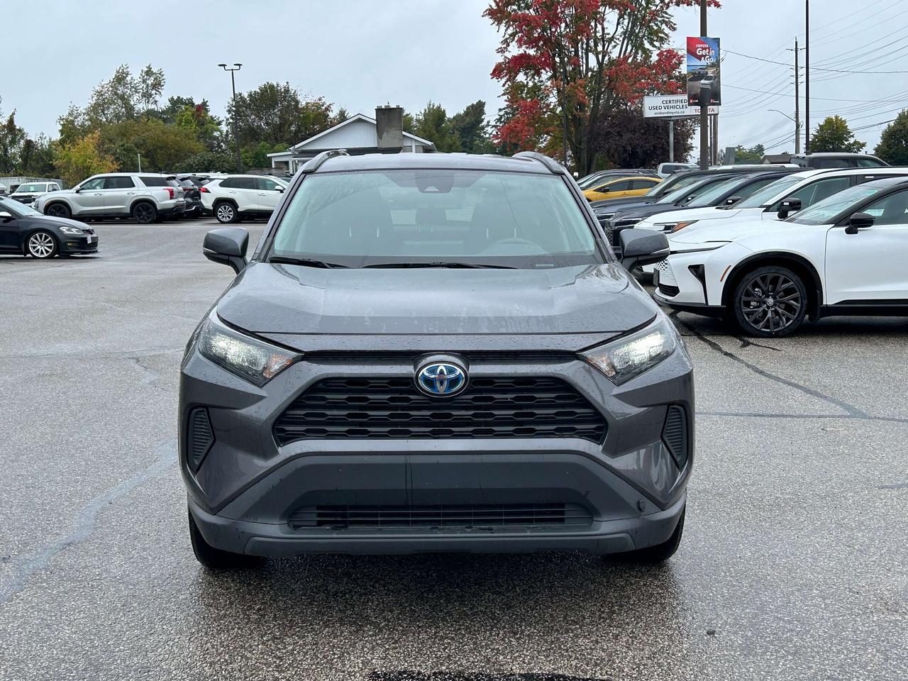 2023 Toyota RAV4 LE Photo