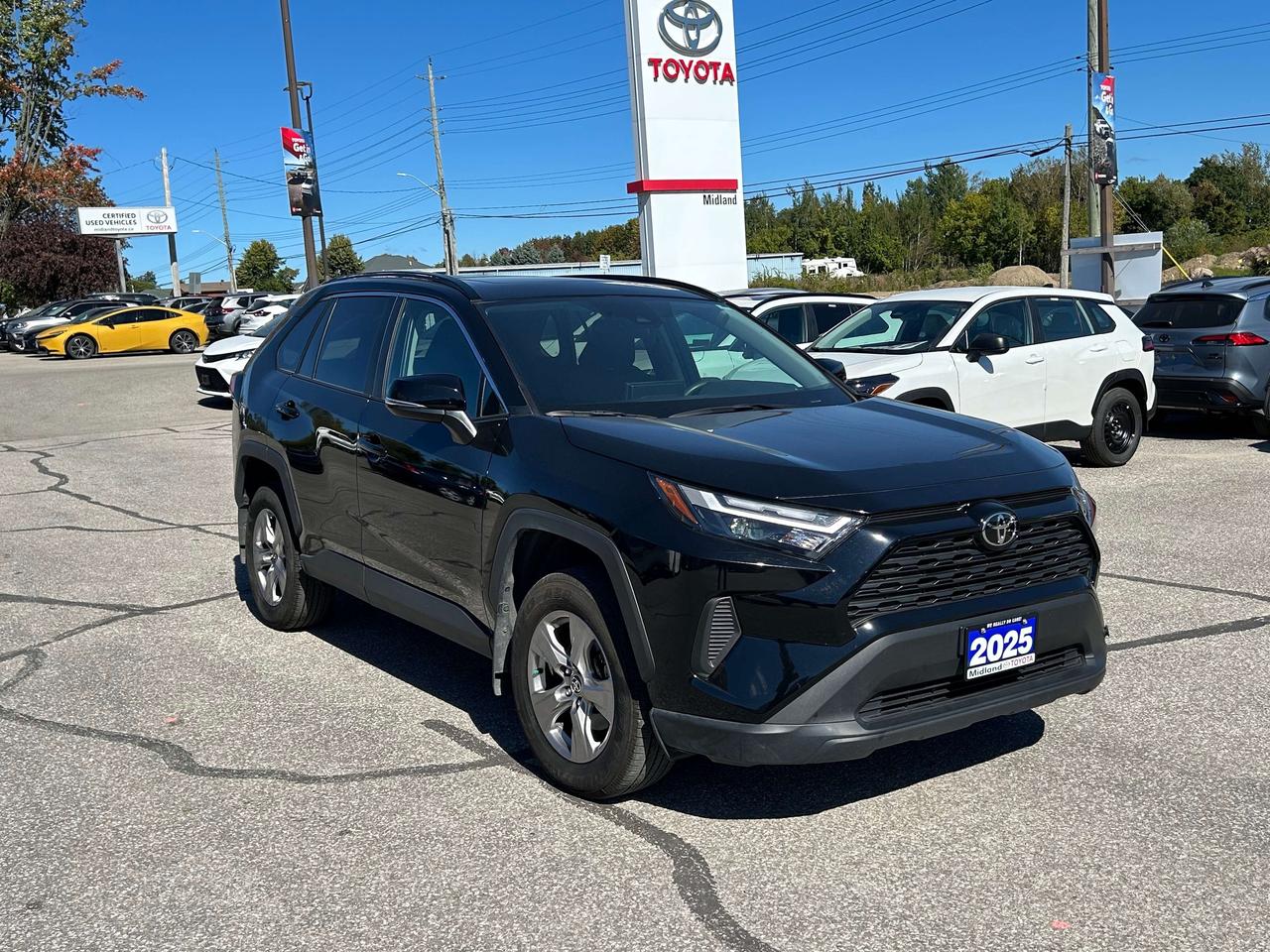 2025 Toyota RAV4 XLE   ONE OWNER Photo