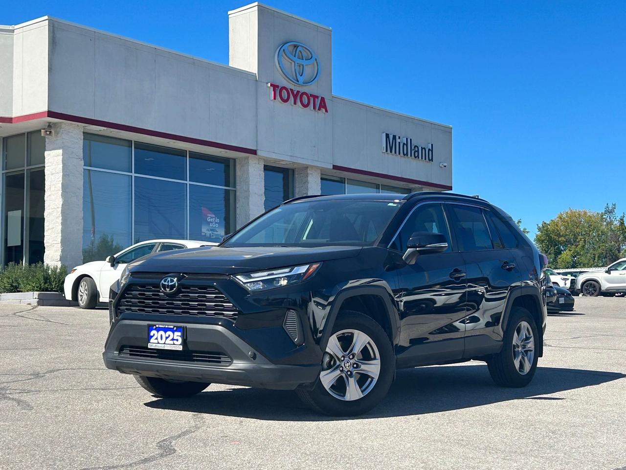 2025 Toyota RAV4 XLE   ONE OWNER Photo