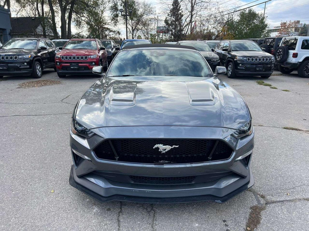 2022 Ford Mustang GT Premium Photo