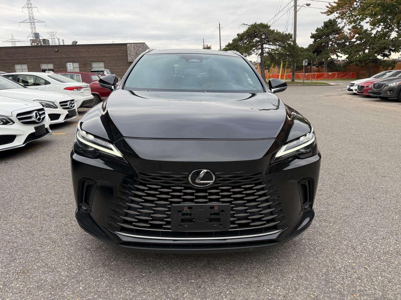 2023 Lexus RX RX 350 Auto, PREMIUM PKG Photo