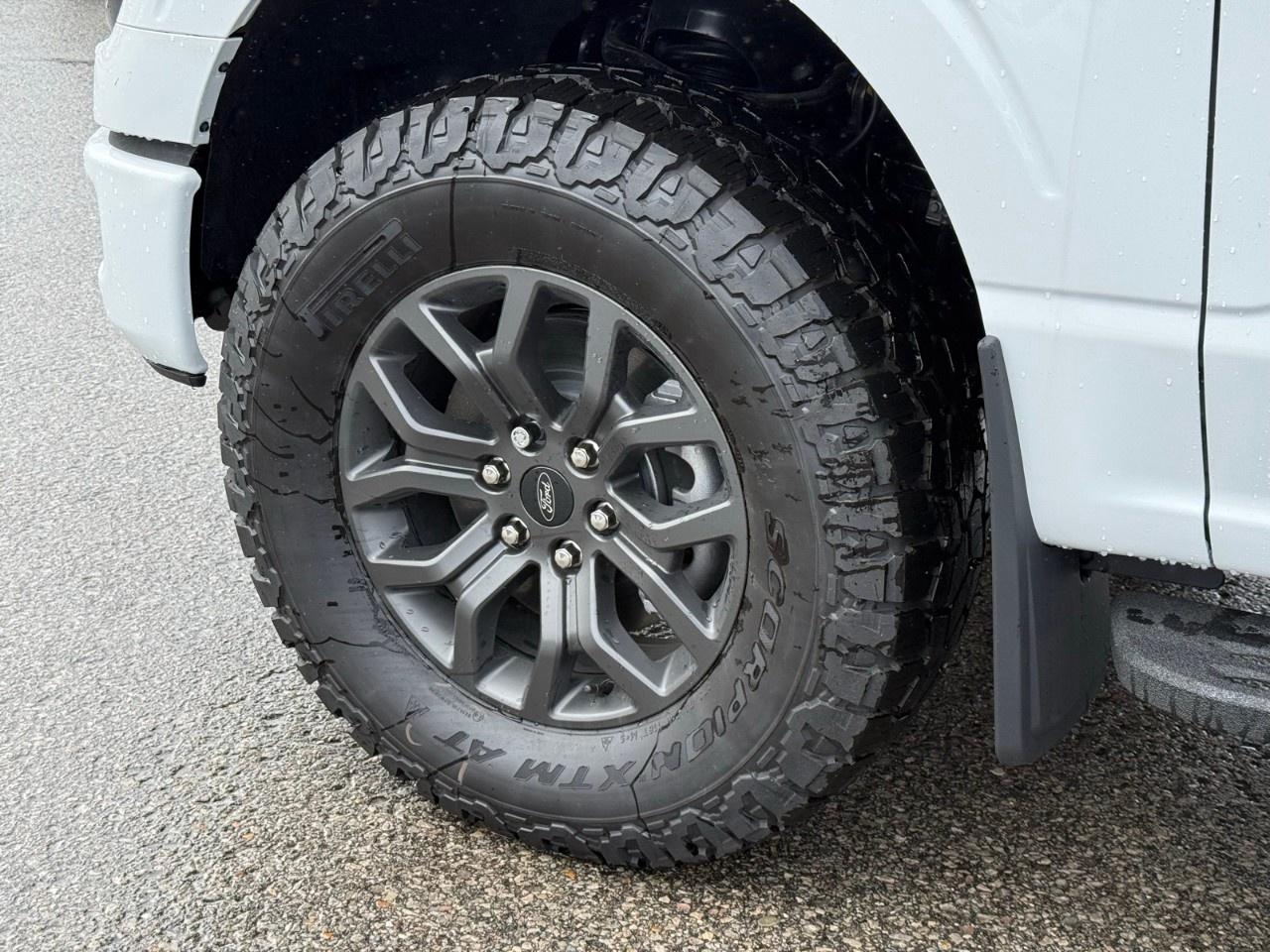 2026 Ford F-150 Tremor 4WD SuperCrew 5.5' Box Photo