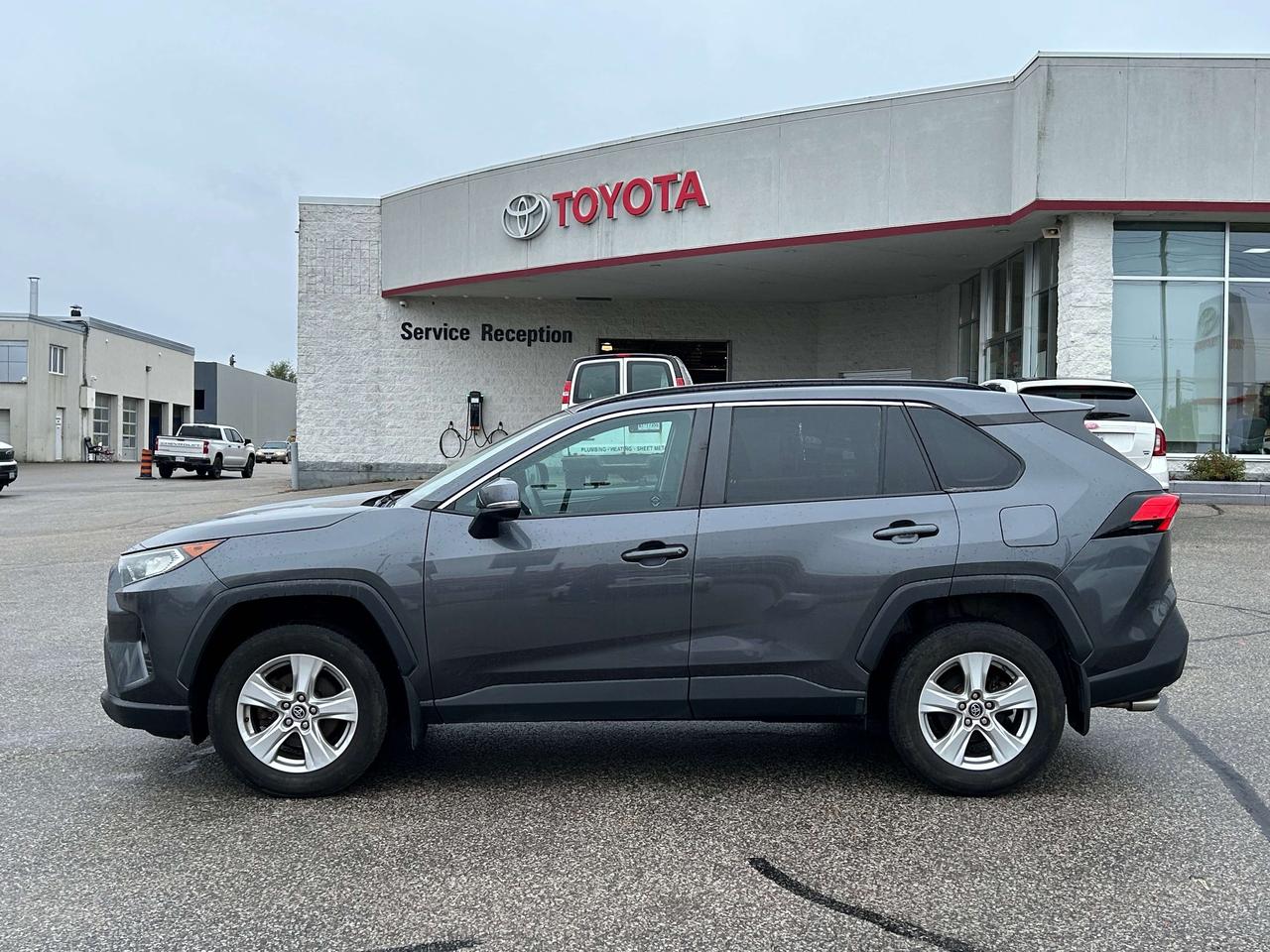 2019 Toyota RAV4 XLE Photo1