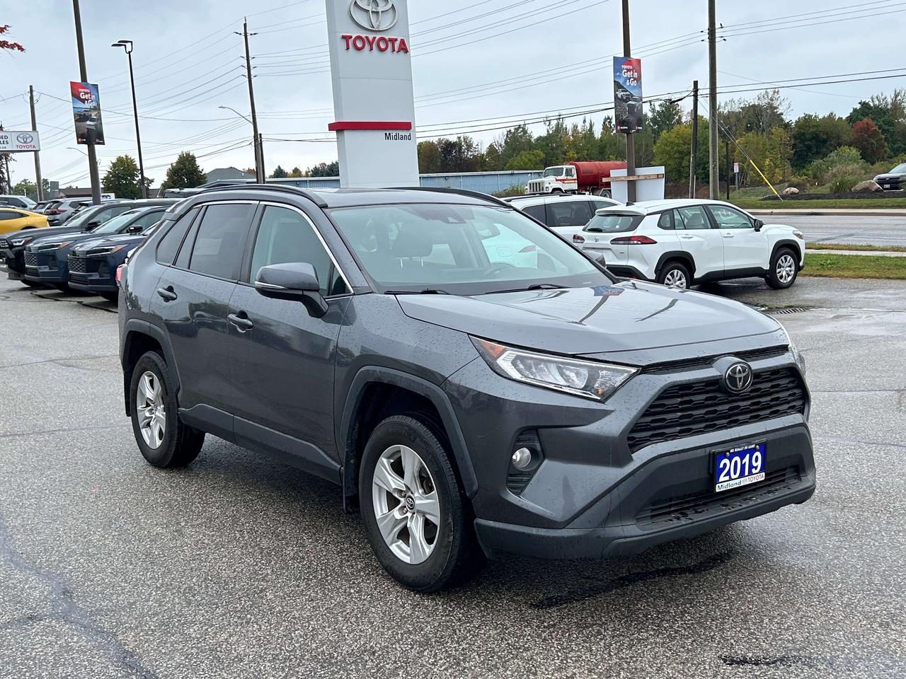 2019 Toyota RAV4 XLE Photo