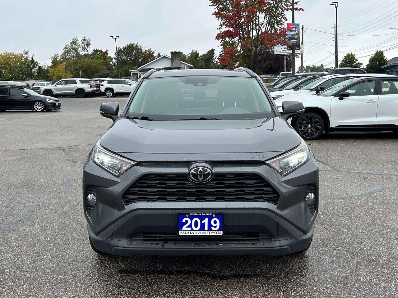 2019 Toyota RAV4 XLE Photo