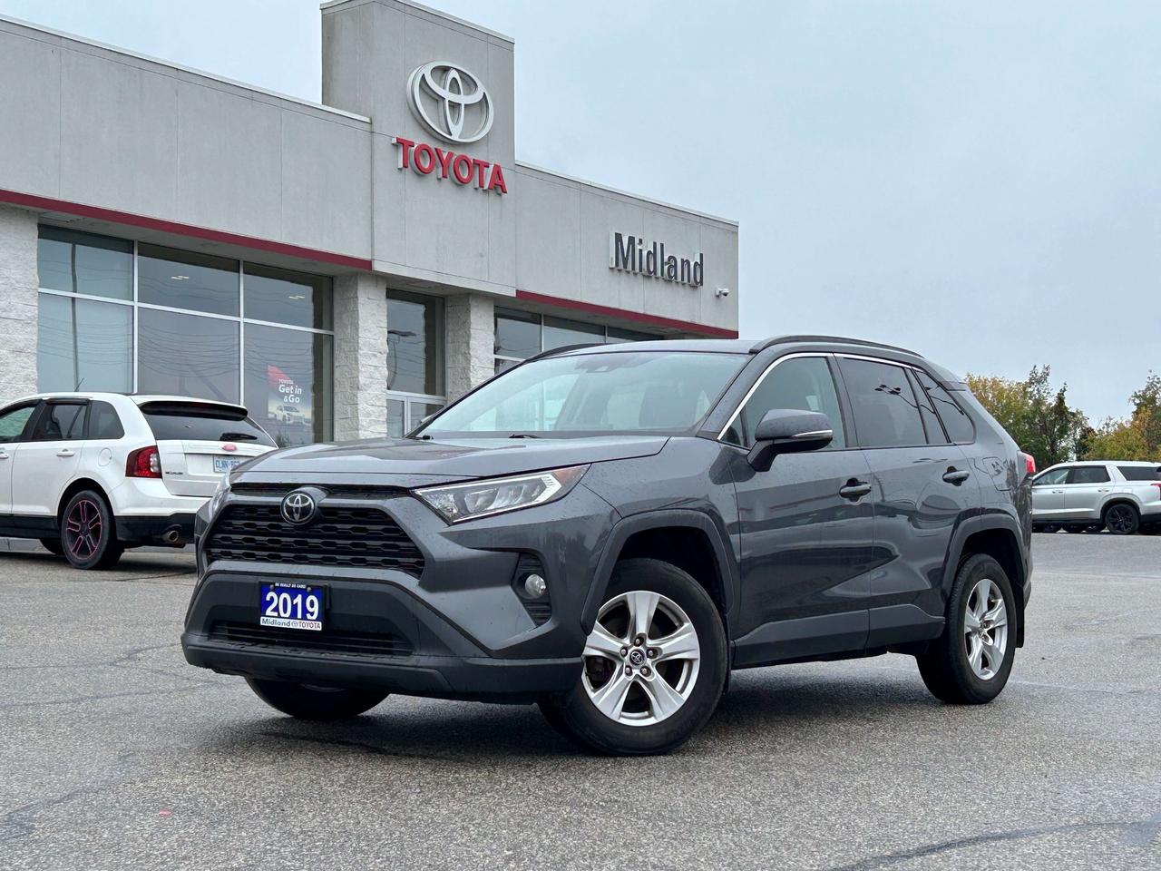 2019 Toyota RAV4 XLE Photo