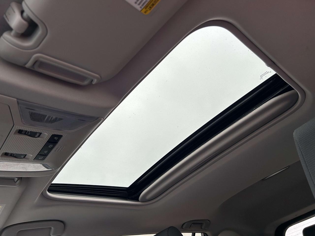 2019 Toyota RAV4 XLE Photo