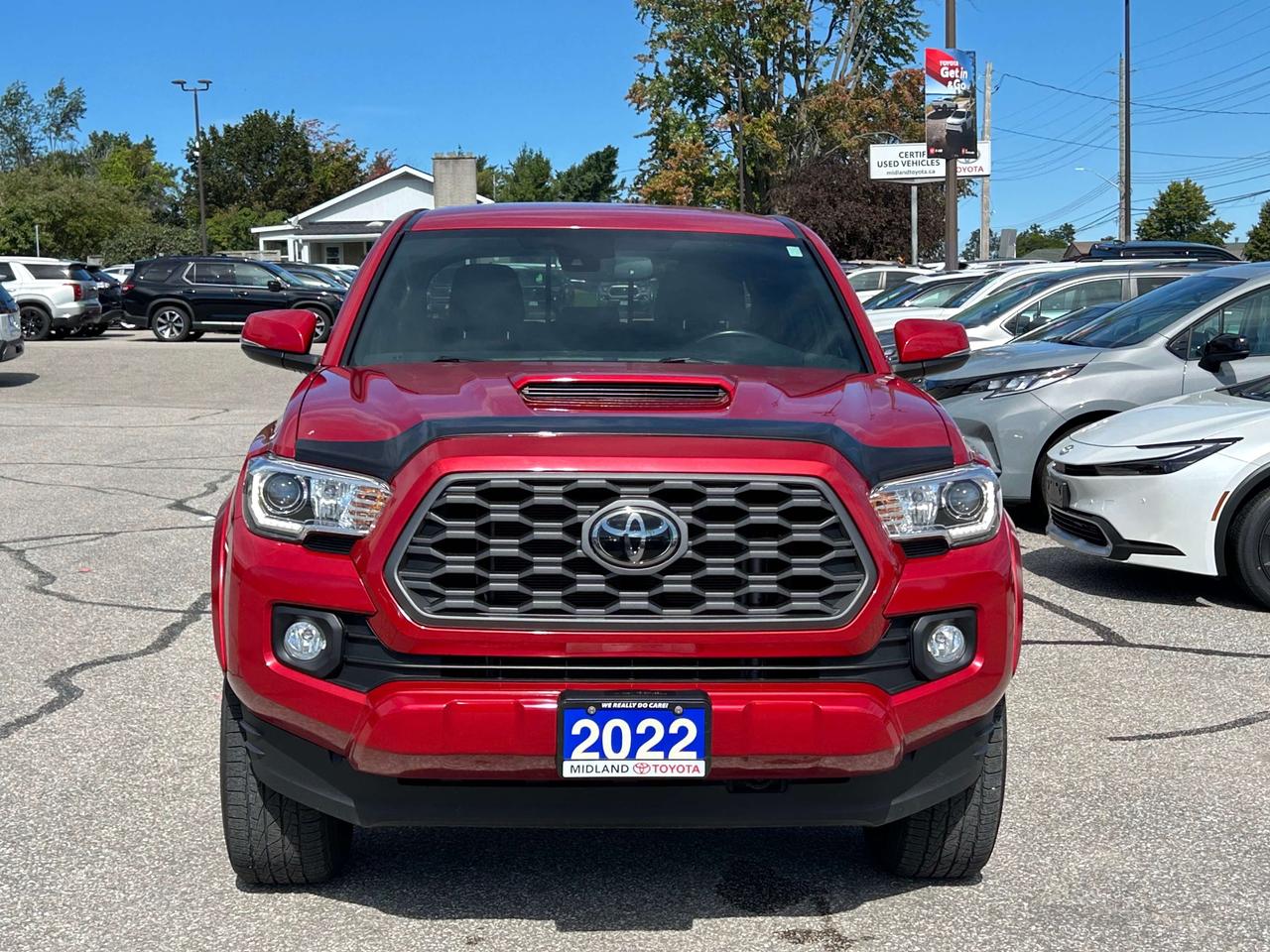 2022 Toyota Tacoma TRD Sport   ONE OWNER Photo