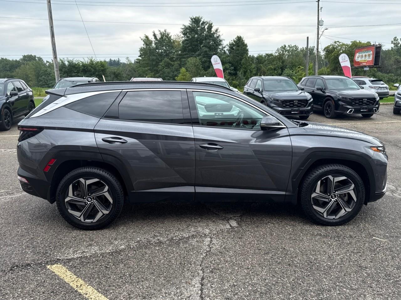 2023 Hyundai Tucson Hybrid Ultimate 4dr All-Wheel Drive Photo