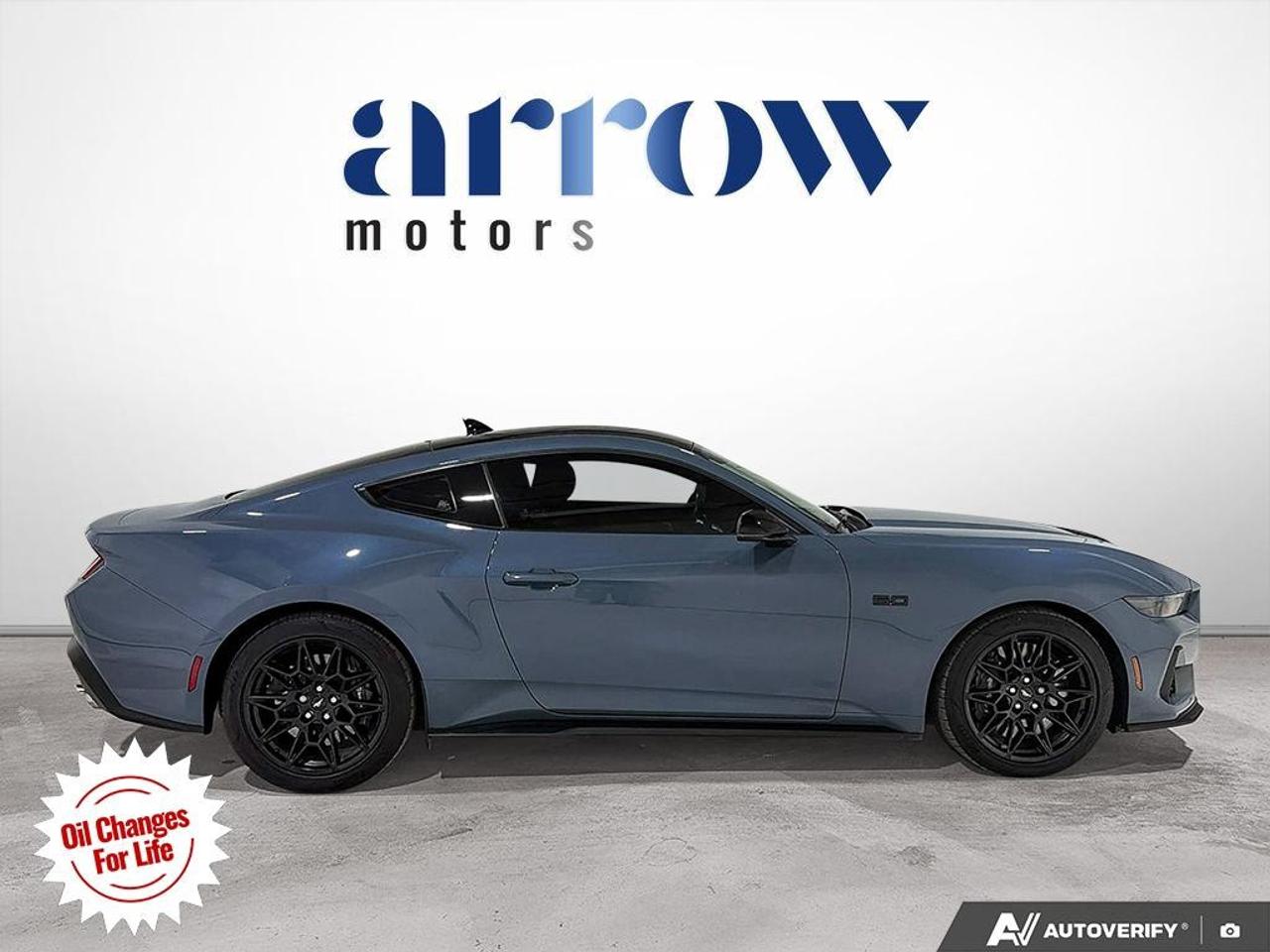2024 Ford Mustang  Photo