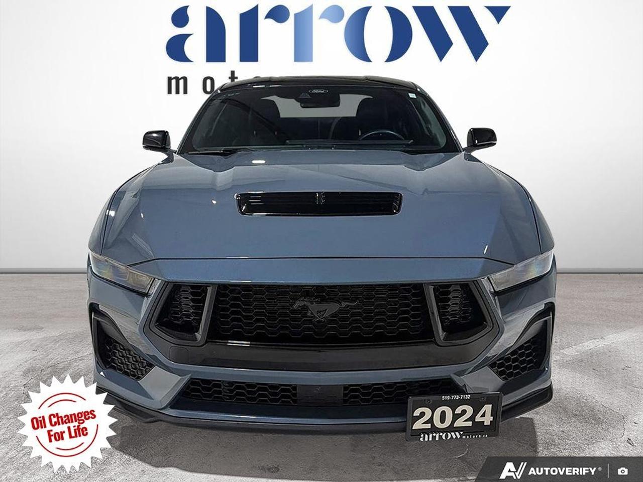 2024 Ford Mustang  Photo