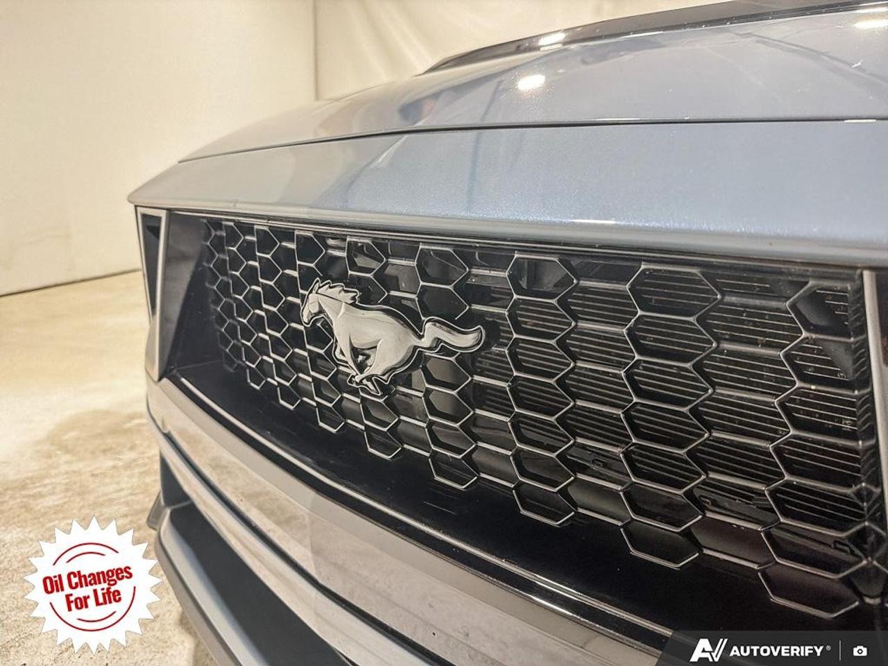 2024 Ford Mustang  Photo