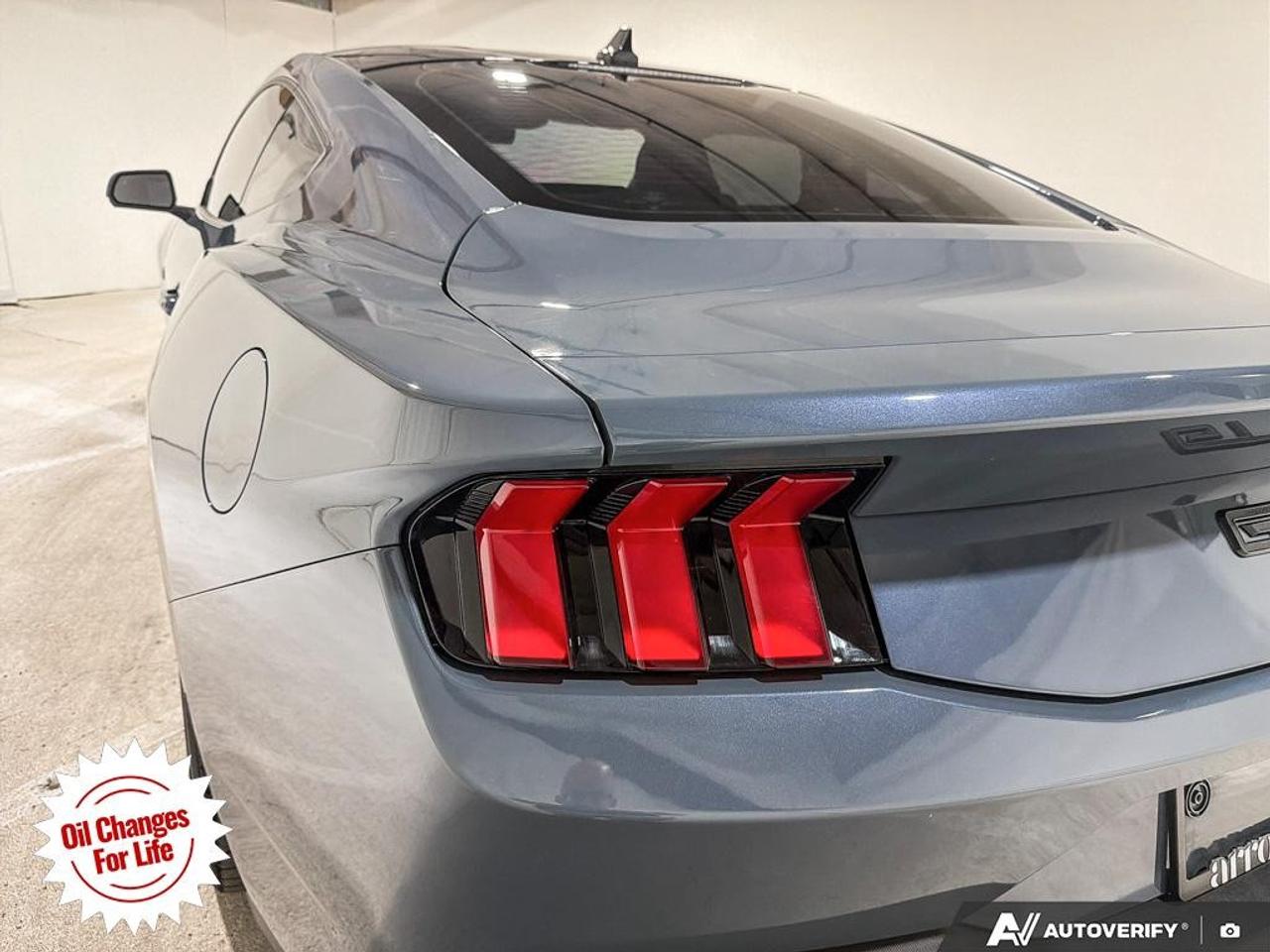 2024 Ford Mustang  Photo