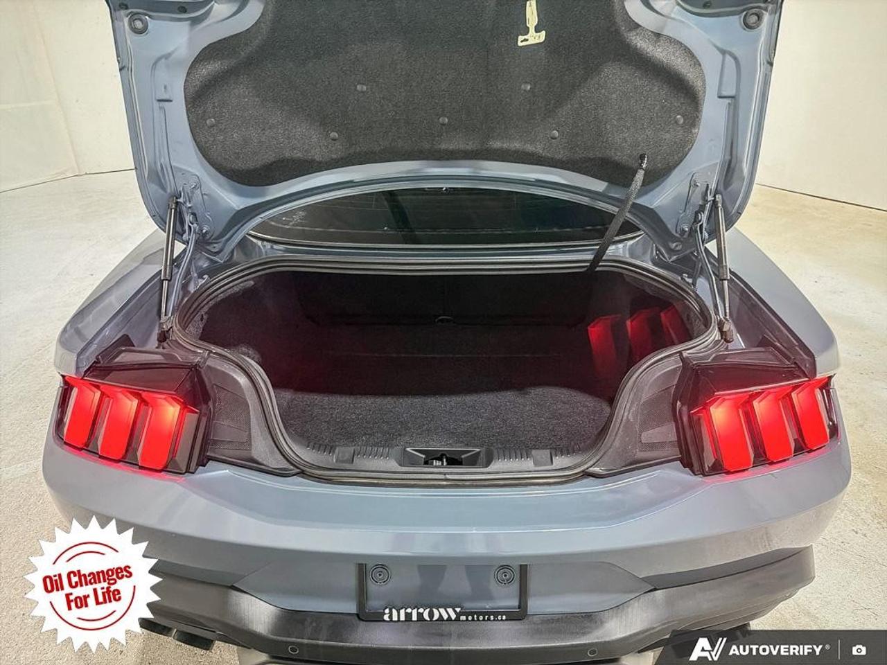2024 Ford Mustang  Photo