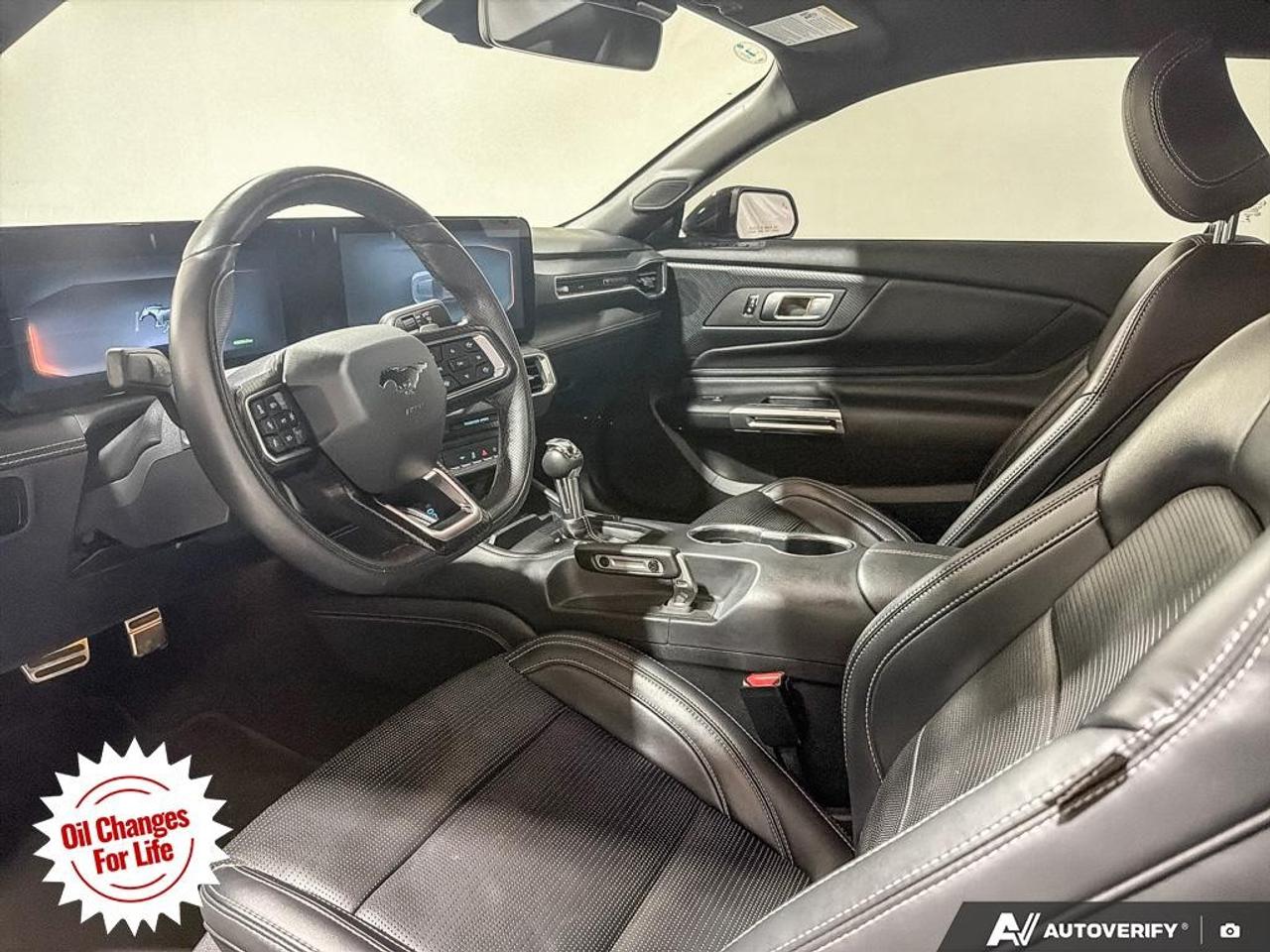 2024 Ford Mustang  Photo