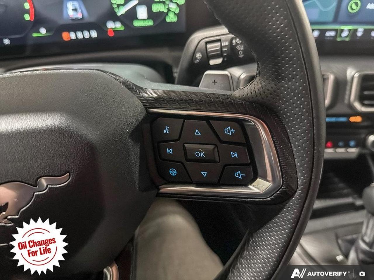 2024 Ford Mustang  Photo