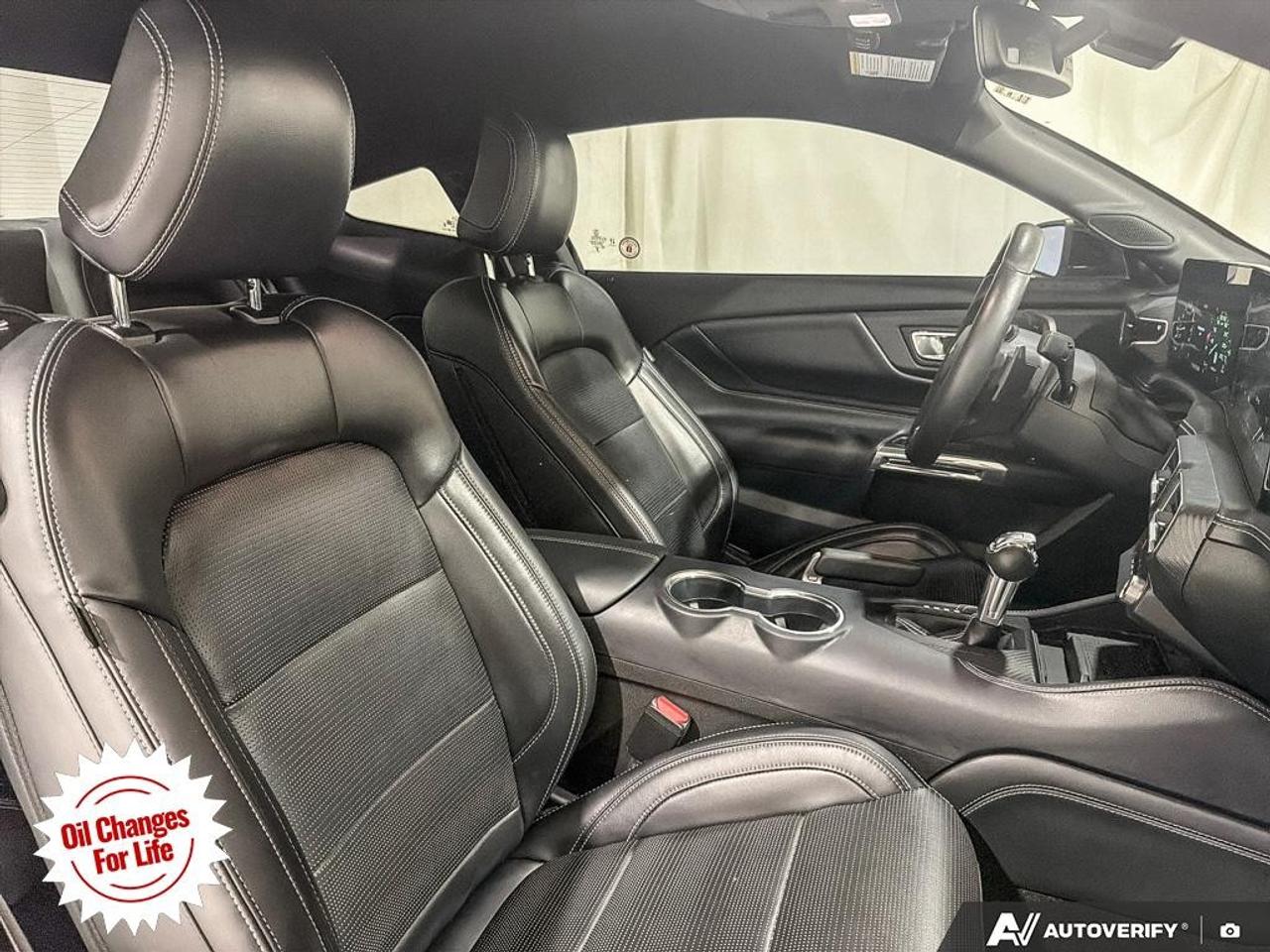 2024 Ford Mustang  Photo