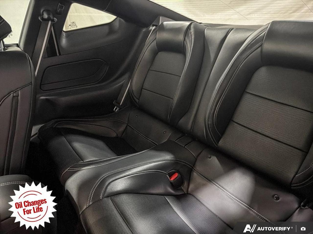 2024 Ford Mustang  Photo