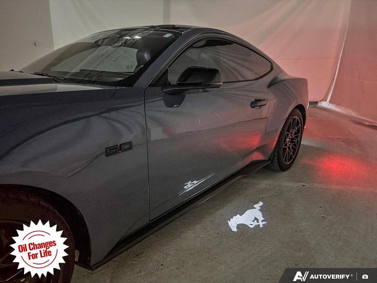 2024 Ford Mustang  Photo