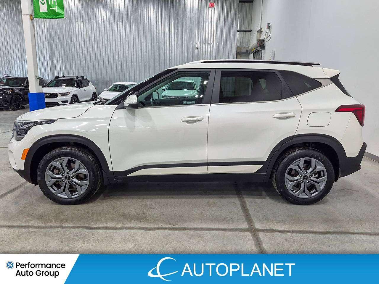 2026 Kia Seltos EX, Heated Seats, Sunroof, Apple CarPlay! Photo