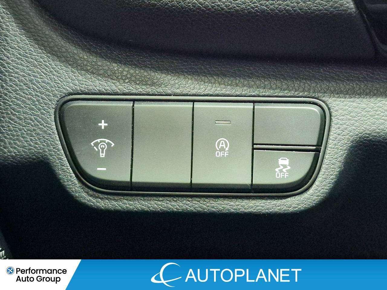 2026 Kia Seltos EX, Heated Seats, Sunroof, Apple CarPlay! Photo