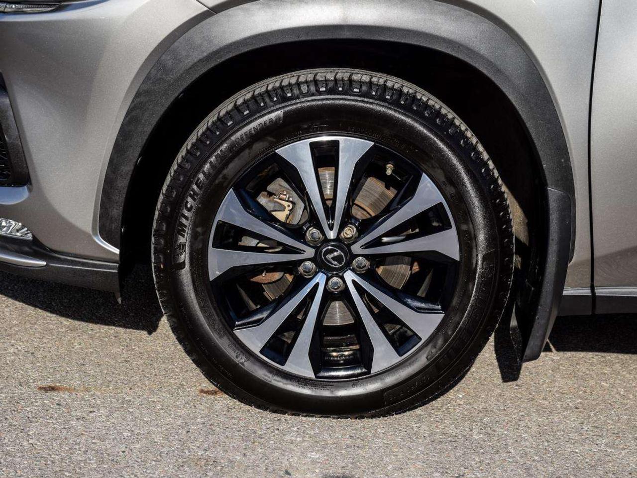 2019 Lexus NX NX300   No Accidents, LOW KMS Photo