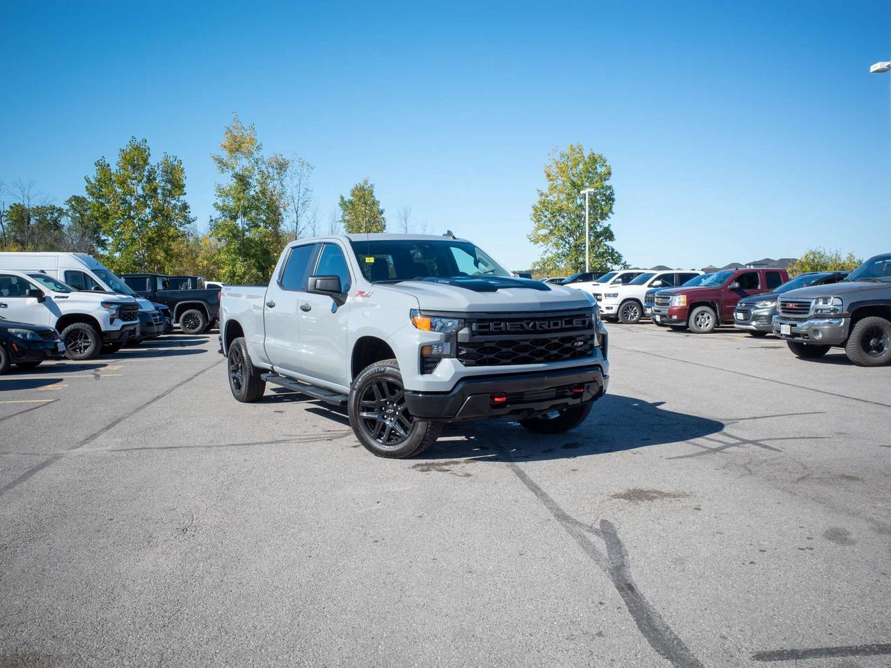 2024 Chevrolet Silverado 1500 Custom Trail Boss - WiFi Hotspot   All-Season Tires Photo