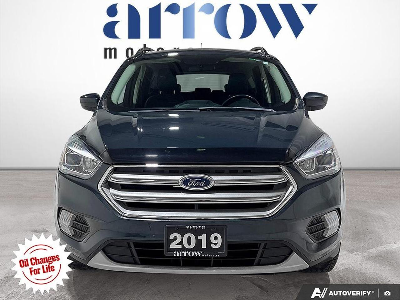 2019 Ford Escape SEL 4WD Photo