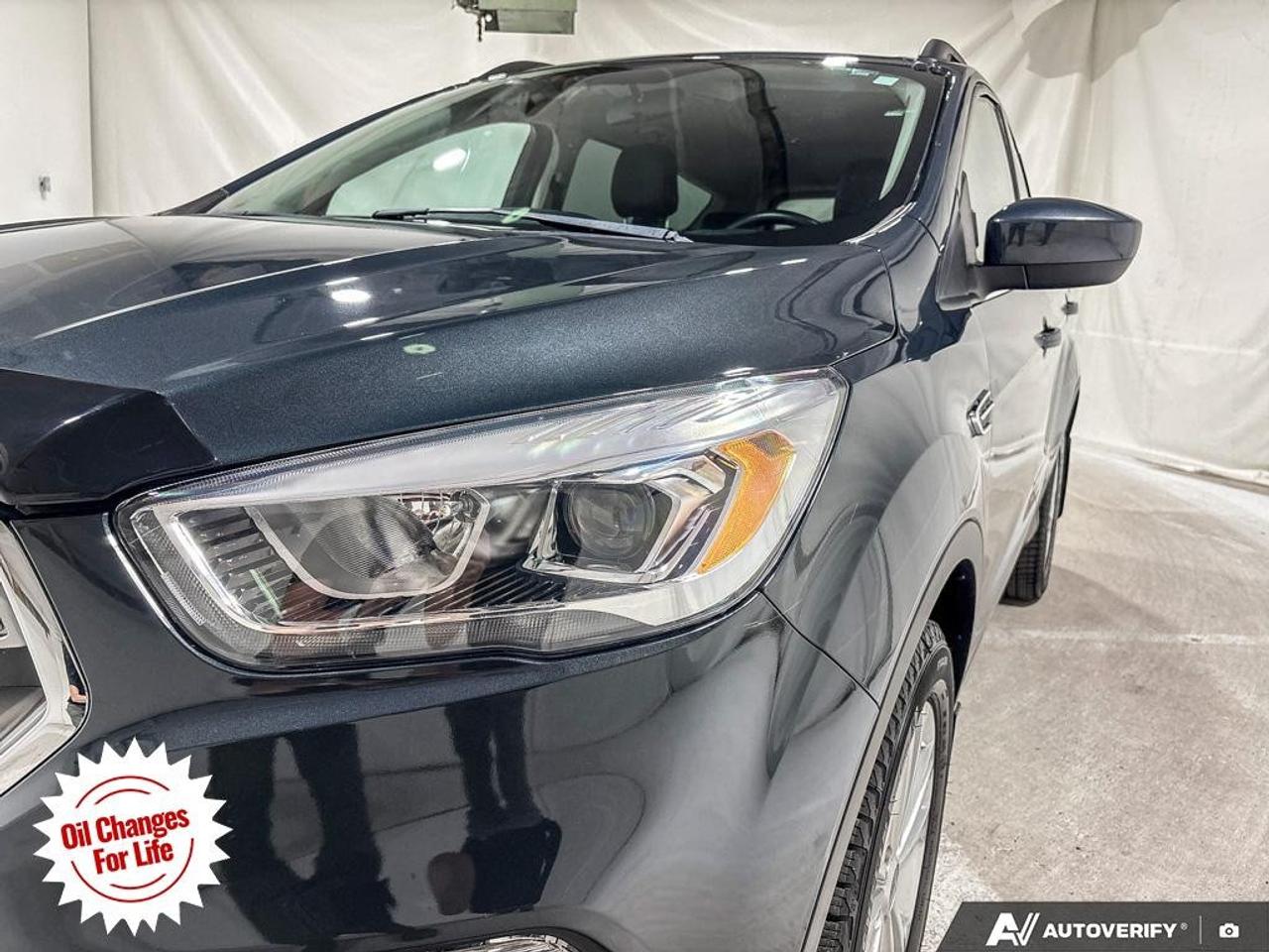 2019 Ford Escape SEL 4WD Photo