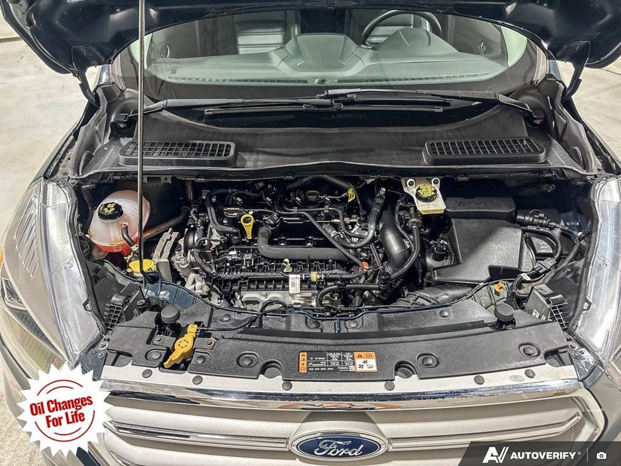 2019 Ford Escape SEL 4WD Photo